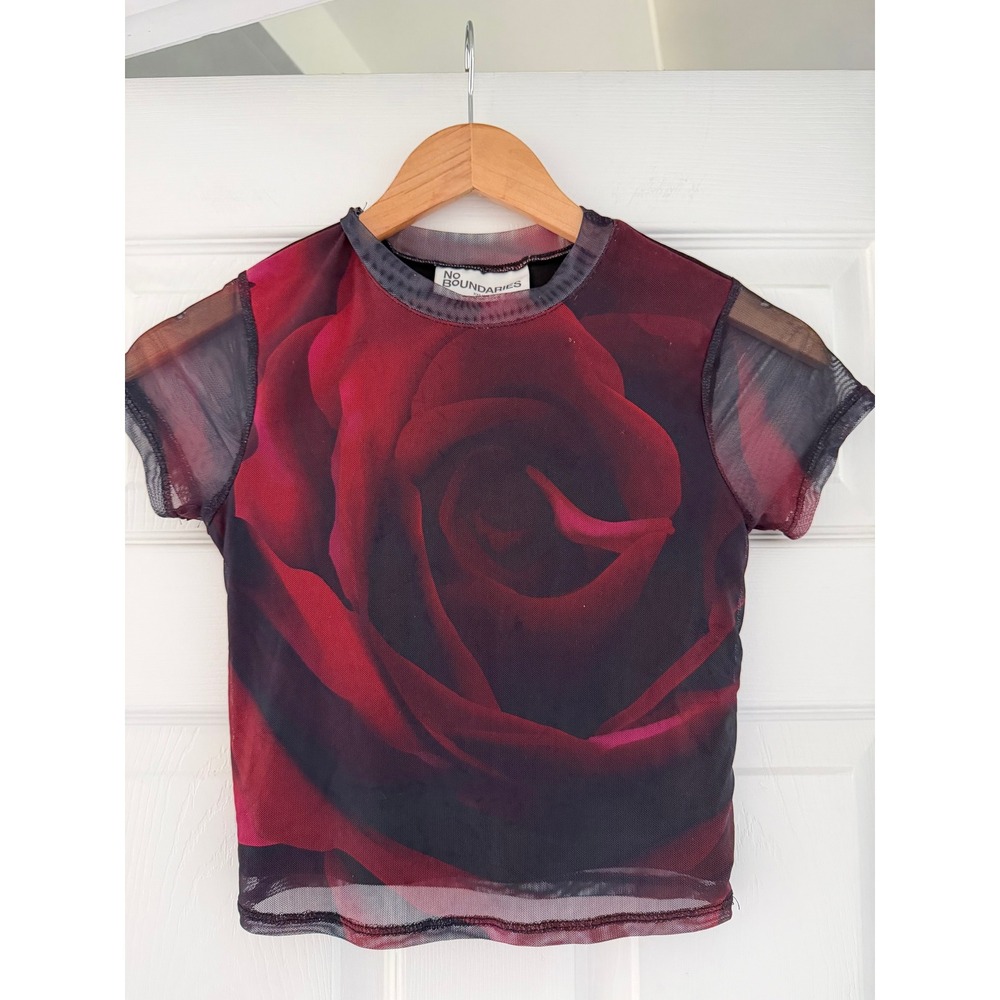 Sheer Rose Short Sleeve Crop Top Whimsigoth Festival Grunge
